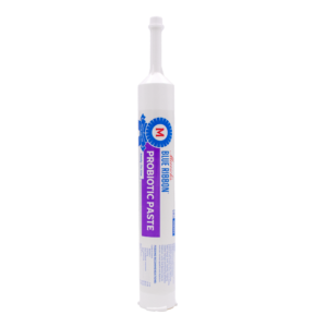 Probiotic Paste