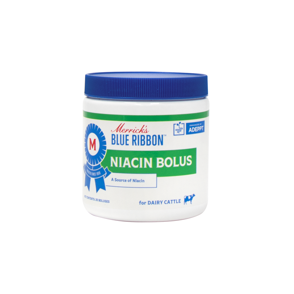 Merricks Blue Ribbon Niacin Bolus