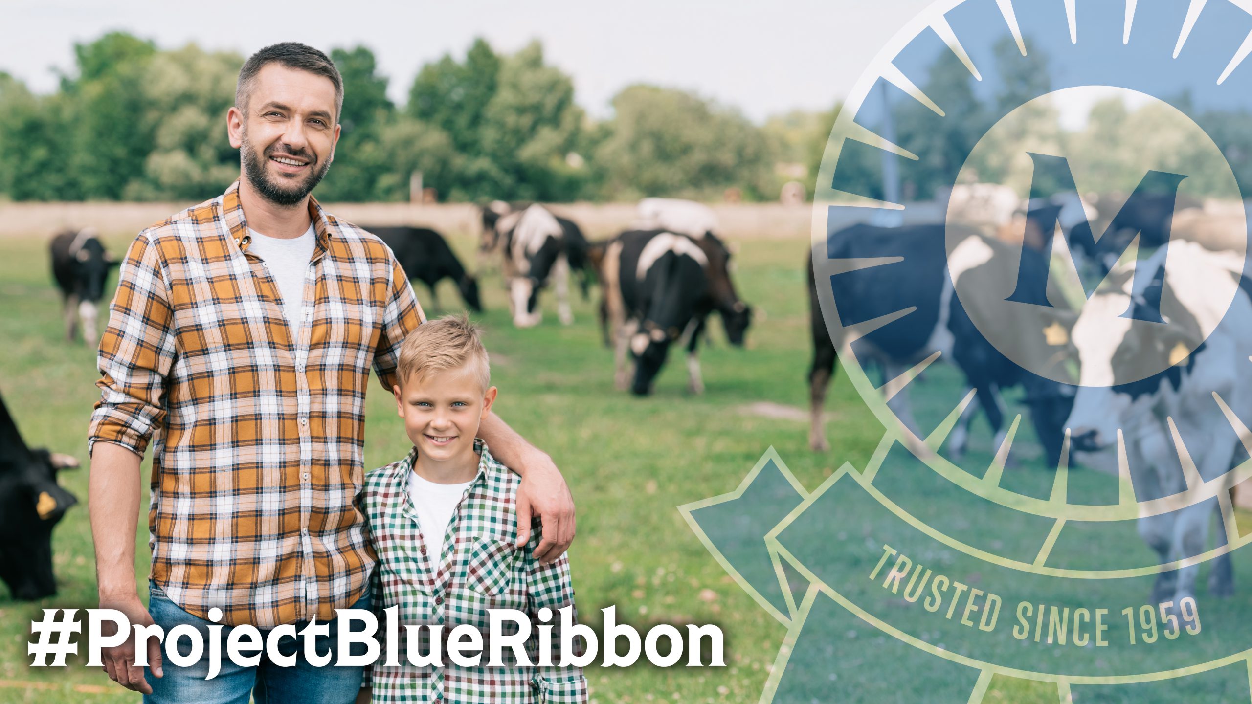 Project Blue Ribbon