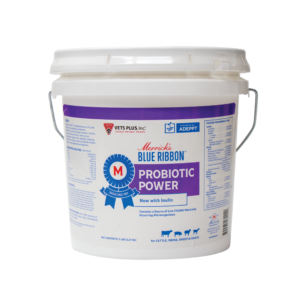 Probiotic Power